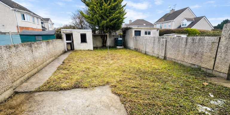 ChatGPT Image Feb 7, 2026, 12_38_42 PM