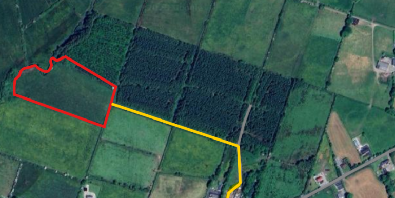 Screenshot 2025-11-11 105800