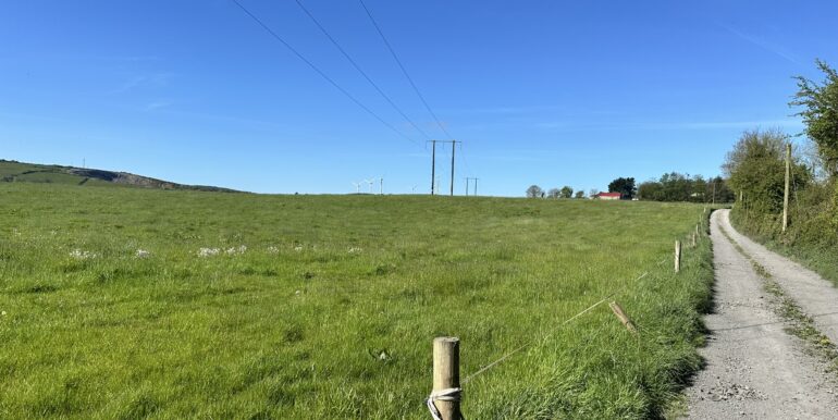 IMG_2243
